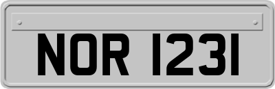 NOR1231