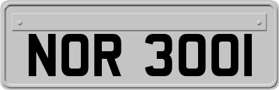 NOR3001