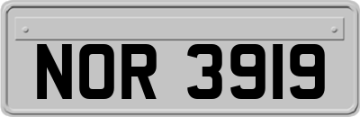 NOR3919