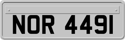 NOR4491