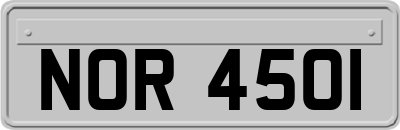 NOR4501