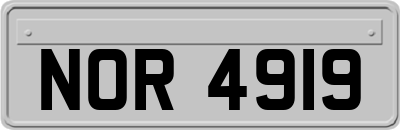NOR4919