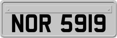 NOR5919