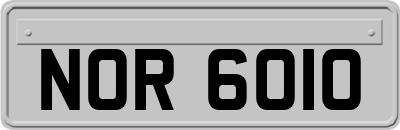 NOR6010