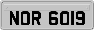 NOR6019