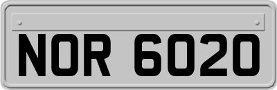 NOR6020