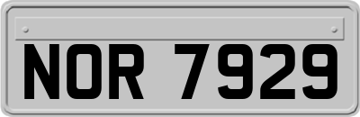 NOR7929