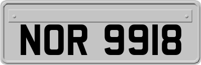 NOR9918