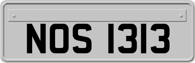 NOS1313