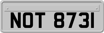 NOT8731