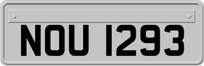 NOU1293