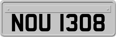 NOU1308
