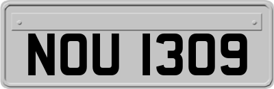 NOU1309