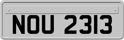 NOU2313