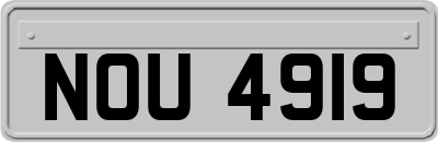 NOU4919