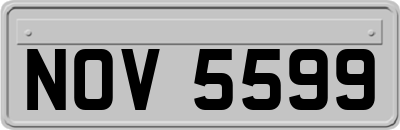 NOV5599