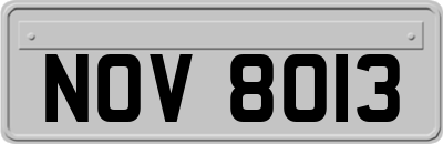 NOV8013
