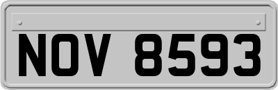 NOV8593