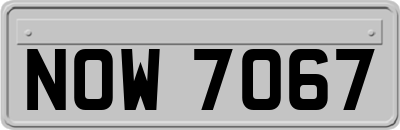NOW7067