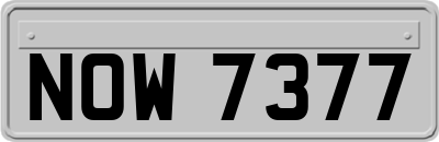 NOW7377