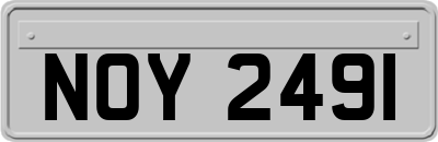 NOY2491