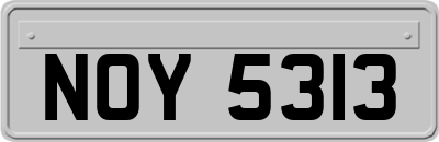 NOY5313