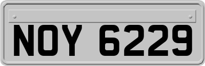NOY6229