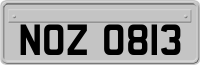 NOZ0813