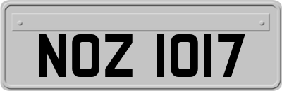 NOZ1017