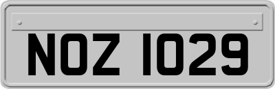 NOZ1029