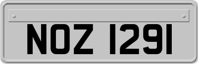 NOZ1291
