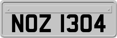 NOZ1304