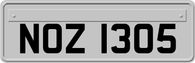 NOZ1305