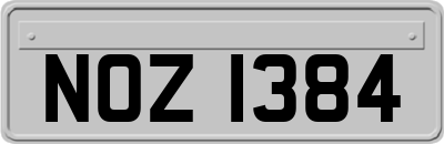 NOZ1384