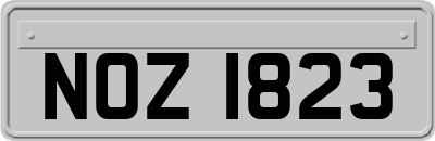 NOZ1823