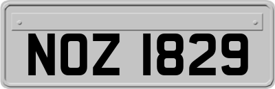 NOZ1829
