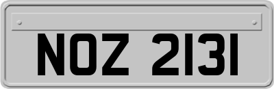 NOZ2131