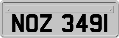 NOZ3491