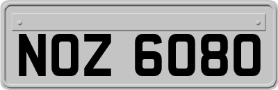 NOZ6080