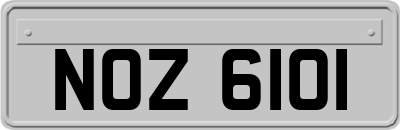 NOZ6101