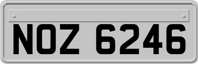 NOZ6246