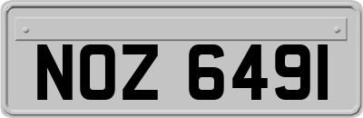 NOZ6491