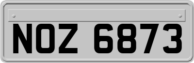 NOZ6873