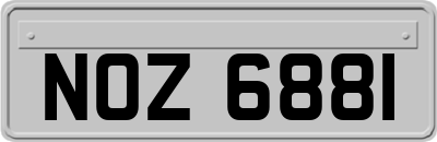 NOZ6881
