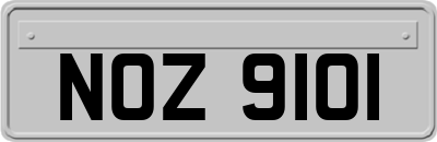 NOZ9101