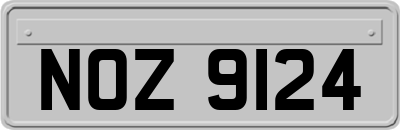 NOZ9124