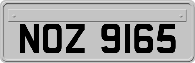 NOZ9165