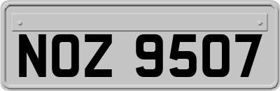 NOZ9507