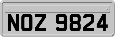NOZ9824