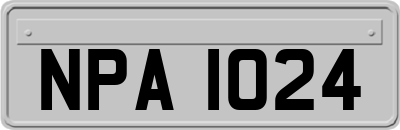 NPA1024